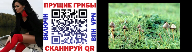 MEGA tor  Люберцы  Галлюциногенные грибы Psilocybe 